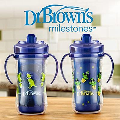 Dr. Brown’s Milestones Insulated Straw Boy Cup 300ml