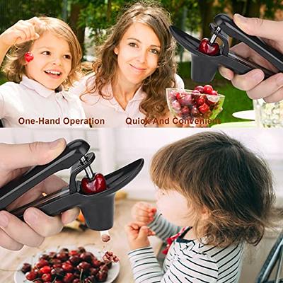 2 In1 Red Date Cherry Fruit Pitter Remover Strawberry Slicer