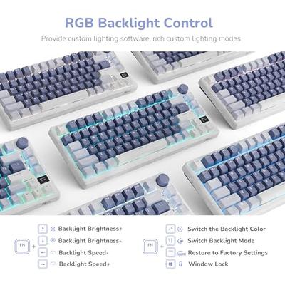  RK ROYAL KLUDGE RK61 Wireless 60% Triple Mode BT5.0/2.4G/USB-C  Mechanical Keyboard, 61 Keys BT Wireless Mechanical Keyboard, Compact  Gaming Keyboard with Software (Hot Swappable Blue Switch, White) : Video  Games