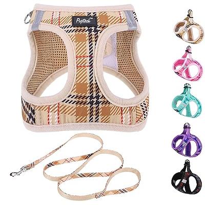 PUPTECK Adjustable Dog Harness Collar and Leash Set Step in No Pull Pet  Harness for Small Medium Dogs Puppy and Cats Outdoor Walking Running, Soft