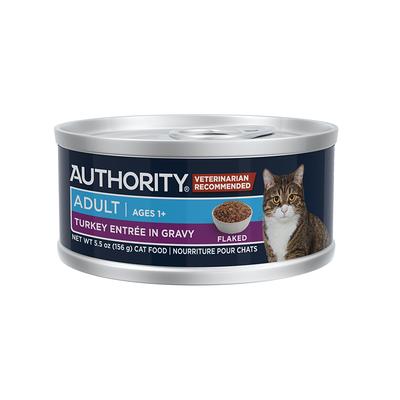 Authority pumpkin 2024 puree for dogs