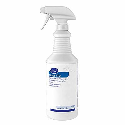 Clorox CloroxPro EcoClean Glass Cleaner Spray Bottle 32 Fl Oz - Office Depot