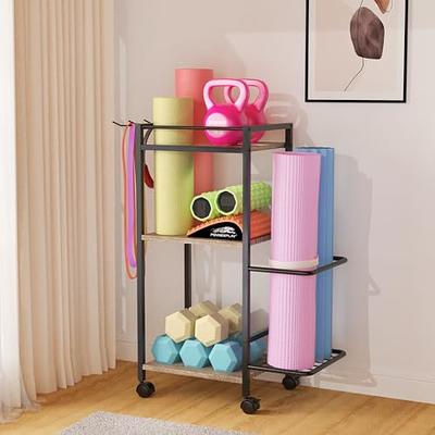 LTMATE 220 lbs.Yoga Mat Storage Racks Gym Sports Equipment Storage organizer  HDM721-WHDM - The Home Depot