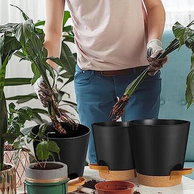 5 Pack Self Watering Planters-6 inch