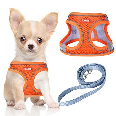  Cat Universal Harness with Leash - Escape Proof - Adjustable  Reflective Step in Dog Harness for Small / Medium Dogs - Soft Mesh Comfort  Fit No Pull No Choke (X-Small