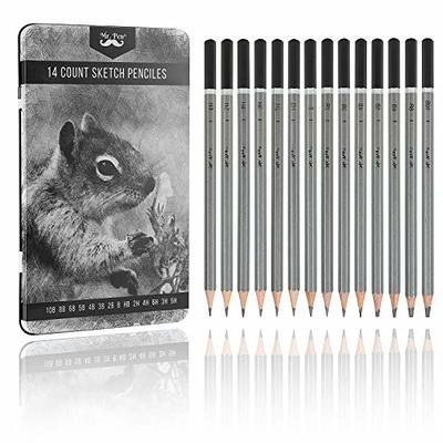 Qionew Professional Drawing Sketching Pencil Set - 12 Pack, Graphite Pencils(14B - 2H), Ideal for Drawing, Art Pencils for Drawing and Shading, Back