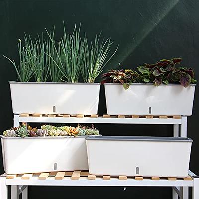 Cheap White Large Self Watering Plastic Planter Gardening Flower Pots -  China Plastic Flowerpot and Black Flowerpot price