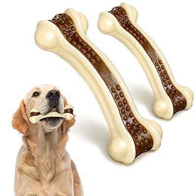 petizer Dog Toys for Aggressive Chewers, Non Squeak Dog Chew Toys,  Indestructible Dog Toys, Dog Teething Toys Made with Nylon and Rubber for
