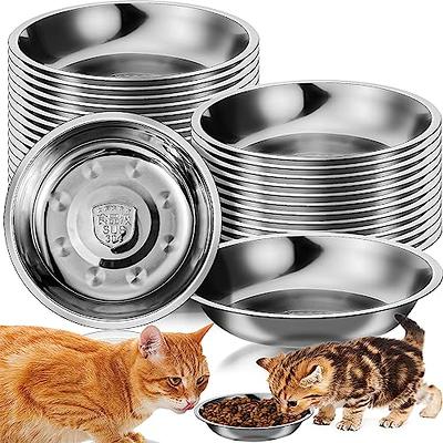 BNOSDM Tilted Dog Cat Bowls Set 2 Pcs Removable Stainless Steel Puppy Bowls  with Non-Spill Plastic Mat Pet Food and Water Feeder for Cat Puppy Small  Dogs Blue - Yahoo Shopping