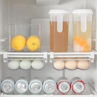 2 Pack Refrigerator Drawer Organizer, Pull Out Shelf Storage Transparent  Organizer for Egg, Fruit, Vegetable, Seafood, Meat, Fit All Fridge Shelves