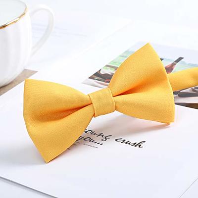 Yolev 1pcs Men's Clip On Tie Satin Solid Colour Plain Tie Solid Uniform  Pre-tied Adjustable Neck Strap Tie Pure Color Necktie Mens Ties for Wedding