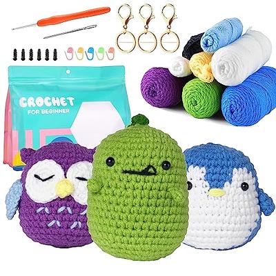 Crochet Kit for Adults and Kids, 4PCS Donut DIY Crochet Animal Kit for  Beginners, Easy Learn to Crochet Amigurumi Kit for Beginners with  Step-by-Step