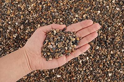 LANDEN Thoreau Aquarium Sand for Aquascape 2L(7lbs), Fish Tank Gravel,  Aquarium Natural Cosmetic Gravel, Fish Tank Decorative Sand, Coarse Sand  for Plants, 2-3mm - Yahoo Shopping