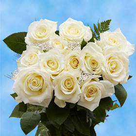 Order Ivory Roses