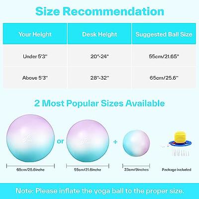 Sportneer Extra Thick Exercise Ball - 21.65''/25.6''Yoga Ball with 9''  Pilates Ball and Quick Pump - Anti-Burst and Slip Resistant Fitness Ball  Chair for Pregnancy and Physical Therapy - Yahoo Shopping