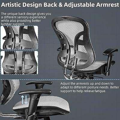 FLEXISPOT Ergonomic Office Chair High Back Mesh Swivel Computer Chair Home  Office Desk Chairs with Wheels Lumbar Support Deep Black