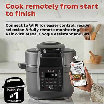 2-in-1 Air Fryer / Pressure Cooker Combo