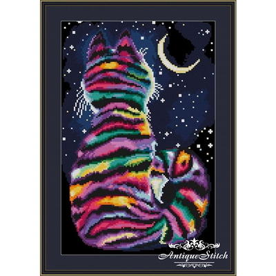 Star Point Horsemanship Rainbow Cheetah Pattern Miniature Horse