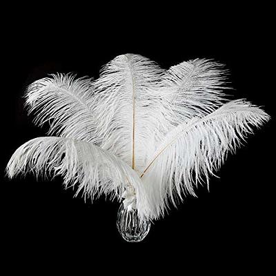 Piokio 10 pcs Natural White Ostrich Feathers 10-12 inch(25-30 cm) Bulk for  DIY Christmas Decorations, Wedding Party Centerpieces, Gatsby Decorations -  Yahoo Shopping