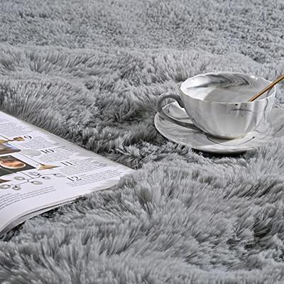 Ophanie 6x9 Area Rugs for Living Room, Large Big Grey Fluffy Shag Fuzzy  Plush Soft Carpets, Floor Shaggy Rug for Bedroom, Gray Carpet for Kids Boys