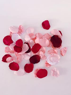 Celebrate It™ Occasions™ Decorative Rose Petals