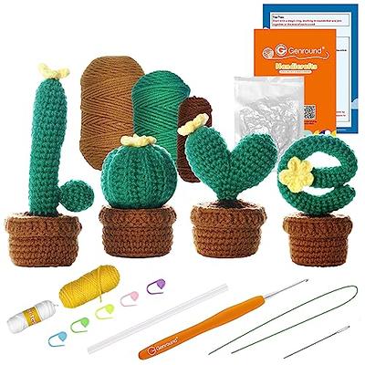 INSCRAFT Crochet Kit for Beginners, 6 Pack Dinosaurs Crochet Animal  Kit,Starter Kit with Step-by-Step Video Tutorials, Learn to Crochet Kits  for