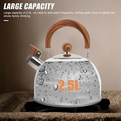 1pc 2l Electric Stainless Steel Quick Boiling Water Kettle For