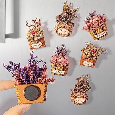 Succulent Shape Refrigerator Magnets Removable Plastic No Scratch  Whiteboard Magnets Kitchen Decor