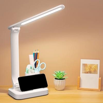 SKYLEO LED Desk Lamp with Clip, 360°Rotating Flexible Gooseneck Work  Lamp