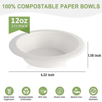 Vplus 150 Pack Compostable Disposable Paper Plates 10 inch Super Strong 100% Bagasse Natural Biodegradable Eco-Friendly Sugarcane Plates(nature)