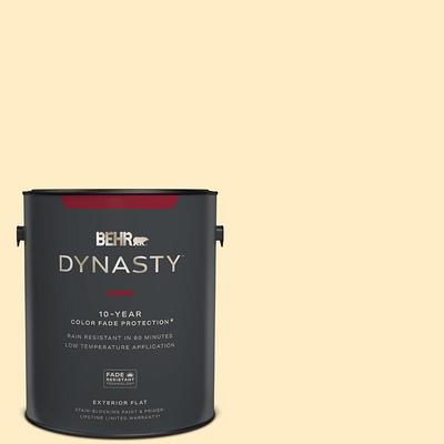 BEHR DYNASTY 5 gal. #BNC-07 Frosted Silver Flat Exterior Stain-Blocking  Paint & Primer - Yahoo Shopping