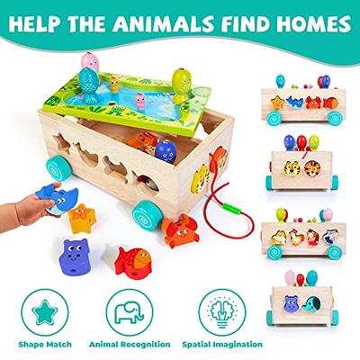 Wooden Activity Cube for Toddlers 1-3, 5 in 1 Ocean Animal Shape Sorter  Bead