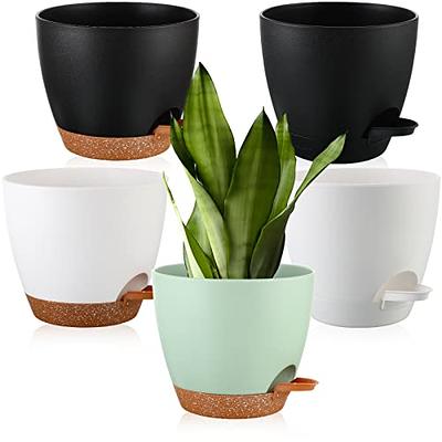 WOUSIWER 16 Pack 6 inch Plastic Planters, Indoor Flower Pots, Heavy Duty  and Stylish 6 Inch Plant Pots for Indoor Plants with Drainage Holes and  Tray