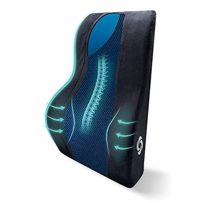 Samsonite Memory Foam Car Seat Lumbar Support Cushion: Black