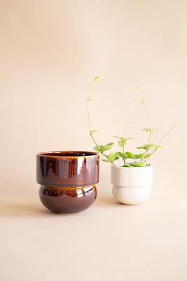 Small & Large Pot, Set Of 2 Flower Pots, Mini Succulent Cactus