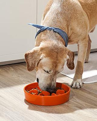 Suhaco 4 in 1 Puzzle Feeder Dog Bowls Slow Feeder Dog Bowls Large Slow  Feeding Bowl for Dogs, Dog Puzzle Game Slow Feeder for Dry and Wet Food Dog