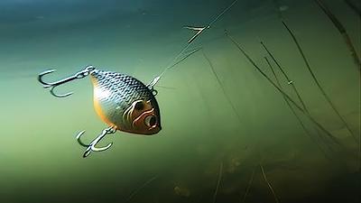 Lurefans DK4 Lipless Crankbaits for Bass Fishing, 0.28 Oz, Rattle Baits,  VIB Vibration Baits, Bluegill Shad Swimbait, BKK Hooks, Effective Fall and  Winter Fishing Lures for Perch, Walleye, Pike, Musky - Yahoo Shopping