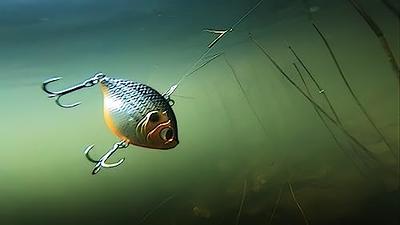 Crappie Crankbaits - Freshwater Fishing Panfish Lures