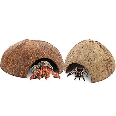 DQITJ 2 Pack Spider Coconut Shell Shelter, Hermit Crab Hideout, Lizard  Hiding Cave, Turtle Rest Hut, Fish Tank Aquarium Decoration - Yahoo Shopping