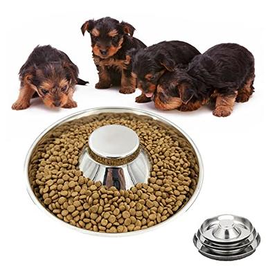 BNOSDM Tilted Dog Cat Bowls Set 2 Pcs Removable Stainless Steel