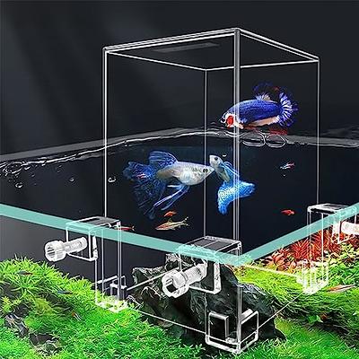 TREELF Complete Set of Negative Pressure Fish Tank Floating Betta Fish Tank  Mini Suspended Fish Bowl Ecological Aquarium with Landscaping and  Decoration for Small Space Living Room or Desktop - Yahoo Shopping