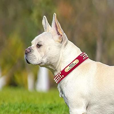 Rhinestone and Pearl Dog Collar Unique Dog Collars Medium 