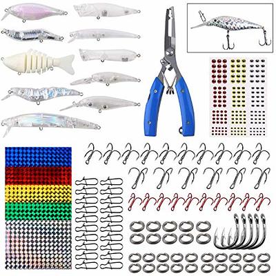 Fishing Lure Stickers Fishing Lure Eyes Kit, Assorted Reflective Adhesive  Laser Waterproof Fish Scale Film Realistic Sticky Fish Eyes for Lure Making  Fishing Baits Jig Fly Tying DIY Materials - Yahoo Shopping