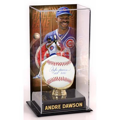 Autographed Chicago Cubs Andre Dawson Fanatics Authentic White Mitchell &  Ness Authentic Jersey