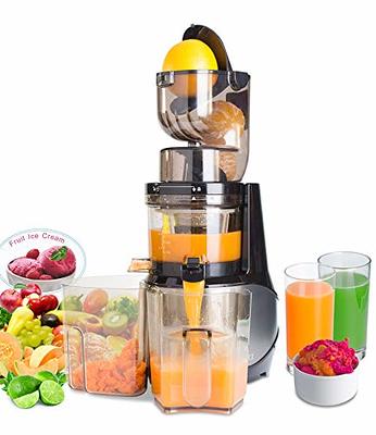 Canoly Masticating Juicer, 250W with 3.5-inch Large Chute for Vegetable +  Fruit