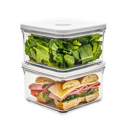 SQUATZ Microwavable Soup Containers w/ Lids Leak Proof,BPA-Free, 16 oz.  Capacity