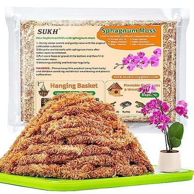Natural Sphagnum Moss for Plants - Orchid Potting Mix Peat Moss Carnivorous  Dried Bark for Sarracenia, Gardening Succulents Reptiles Decorating