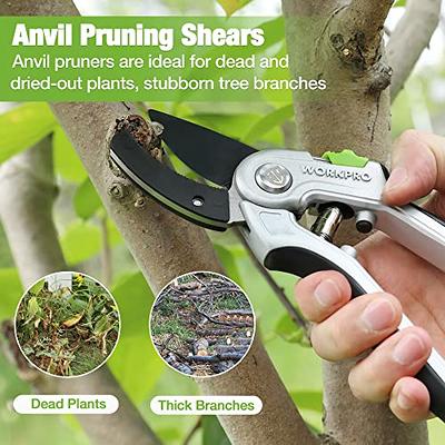 Heavy Duty Anvil Pruner