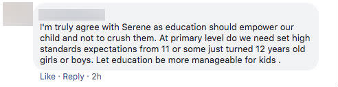 Facebook comment on Serene Eng-Yeo's post addressing Education Minister Ong Ye Kung.