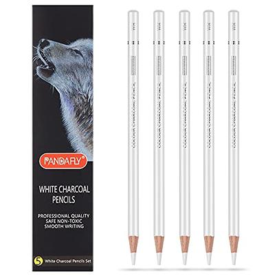 Qionew White Charcoal Pencils Drawing Set, Set of 6 for  Illustration,Shading, Blending,Sketching,Black Paper,for add highlight on  kraft paper,black
